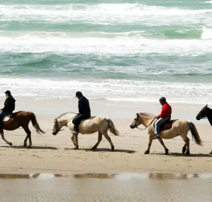 sejour linguistique activite equitation