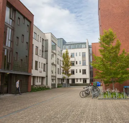 Trinity Hall Summer Residence Dublin Cour