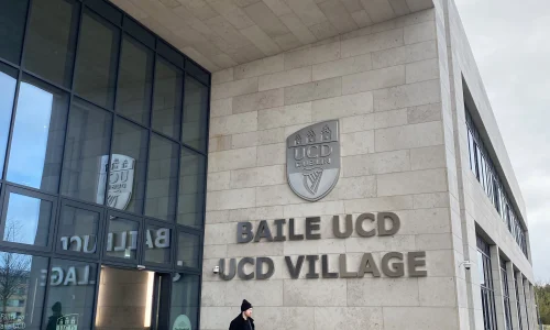 Immersion linguistique summer camp pour jeunes