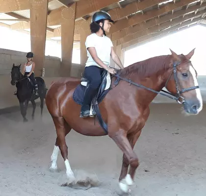 cheval