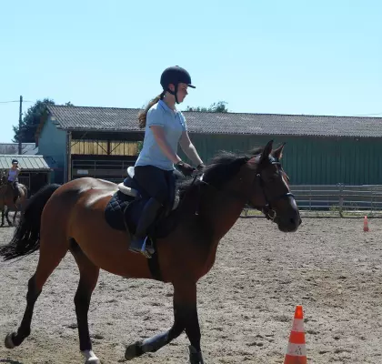 cheval2