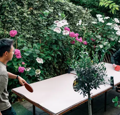 Table de ping pong Auberge Ani & Haakien - Rotterdam