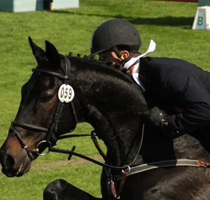 equitation sejour linguistique portsmouth