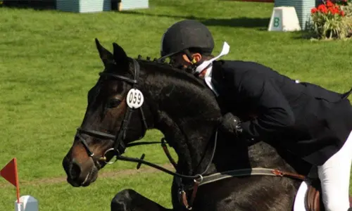 equitation sejour linguistique portsmouth