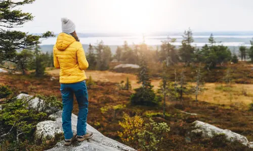 Cours particuliers chez le professeur, pays nordiques