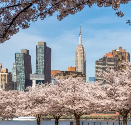 Anglais et visite de New York - Etats-Unis - CLC