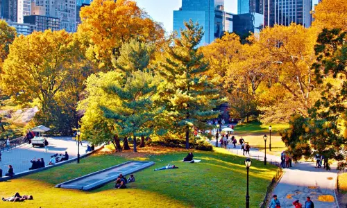 paysage automne new york