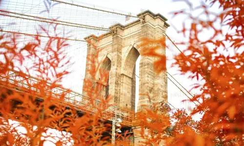 automne new york