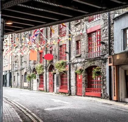 Cours particuliers chez le professeur Dublin