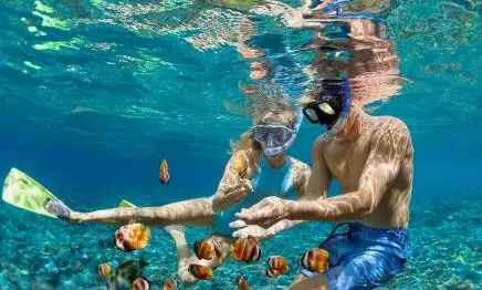 Plongée sous marine