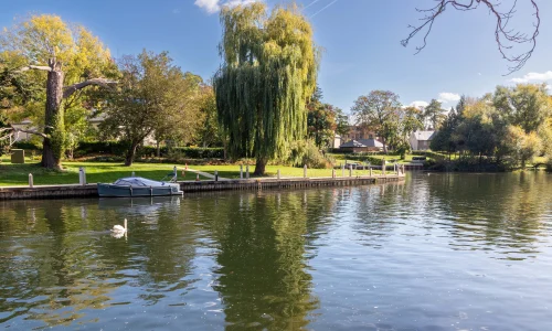 Summer camp a l'anglaise à Maidenhead