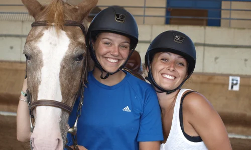 Cours d'équitation à Woodbridge