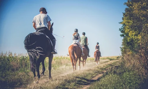 Balade à cheval à Woodbridge