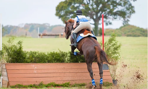 Sauts à cheval à Woodbridge