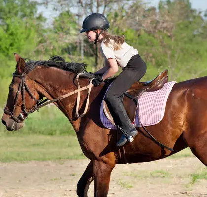 equitation sejour linguistique finborough