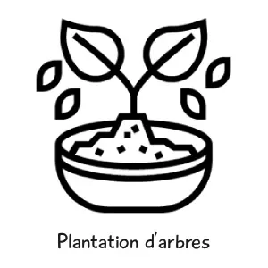 Plantation d'arbre