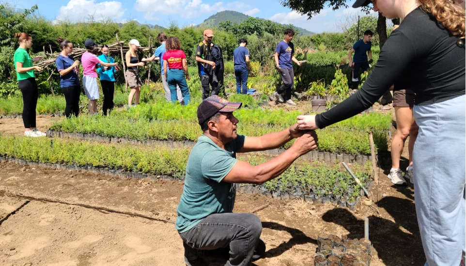 Projet reforestation Guatemala