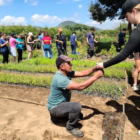Projet reforestation Guatemala