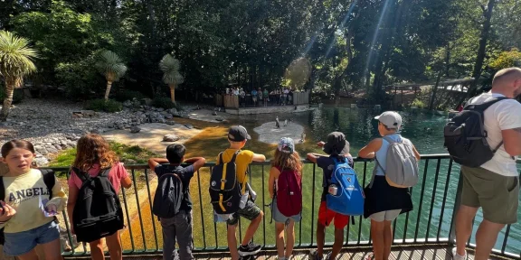 PHOTO COUVERTURE PINGOUIN