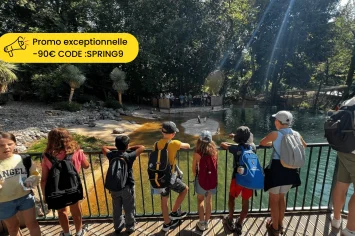 PROMO EXCEPTIONNELLE  -5 (9)