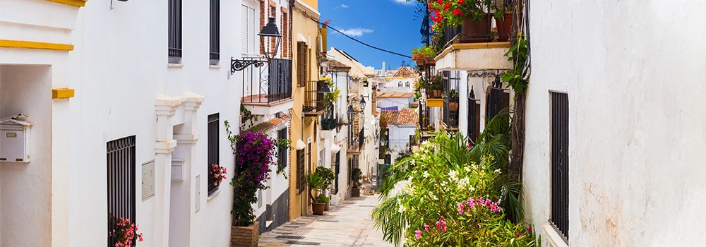 paysage ville Marbella