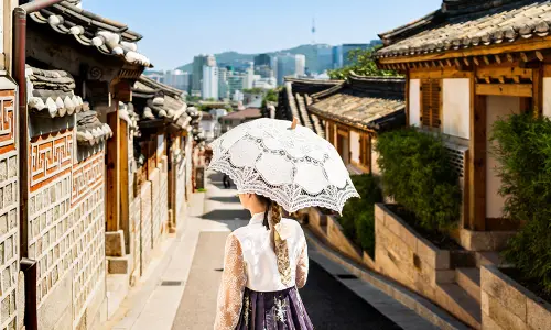 cours-particuliers-coreen-professeur-seoul-visite