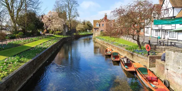 cours decouverte canterbury