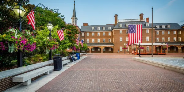immersion richmond alexandria