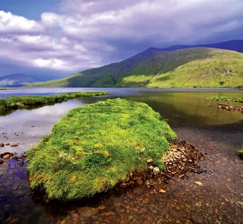 immersion irlande