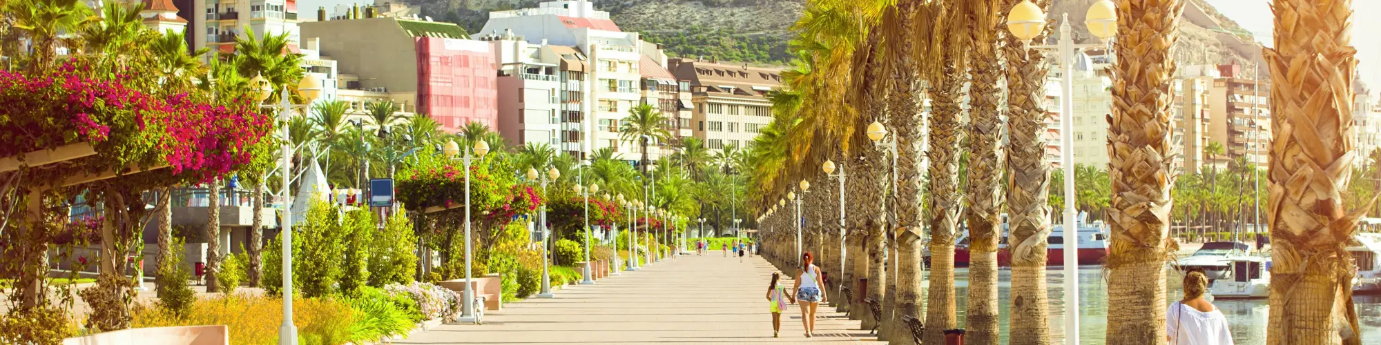 sejour linguistique alicante