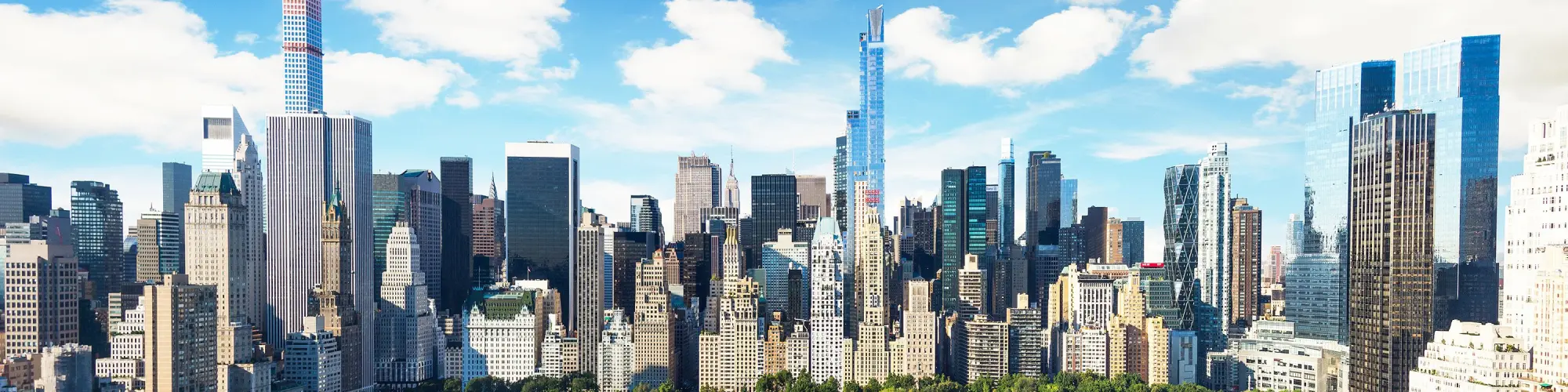 sejour linguistique new york