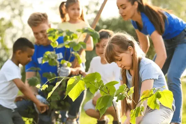 Séjour Green Village