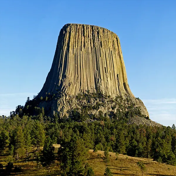 actu American village Roosevelt