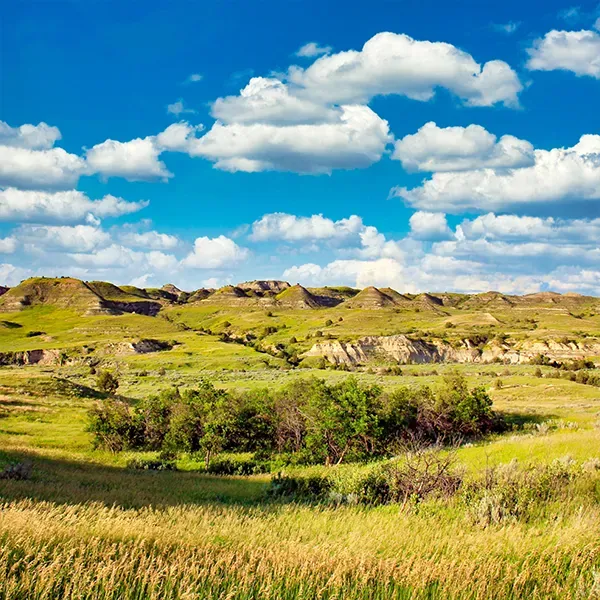 actu American village Roosevelt