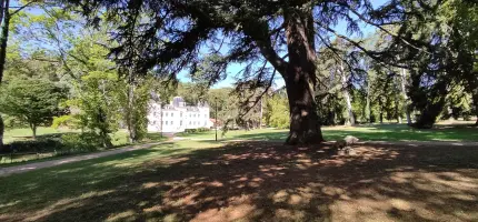 Colonie linguistique en anglais au château