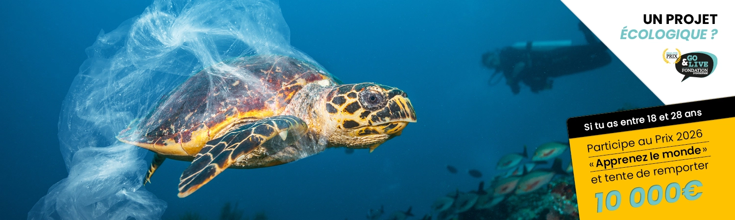 L'écologie est au cœur de nos préoccupations