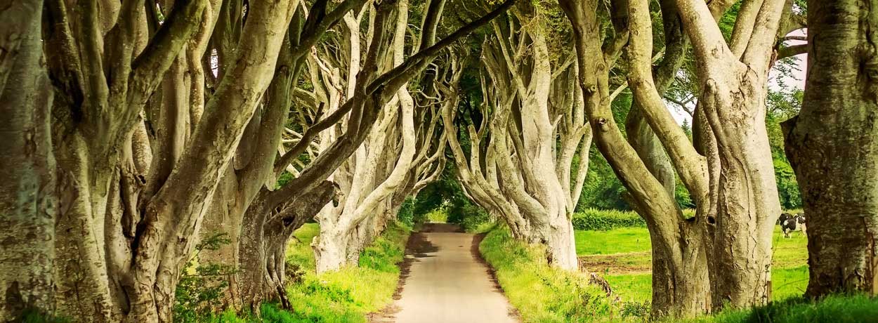 L'Irlande avec sa région du Connemara, Dublin et Belfast