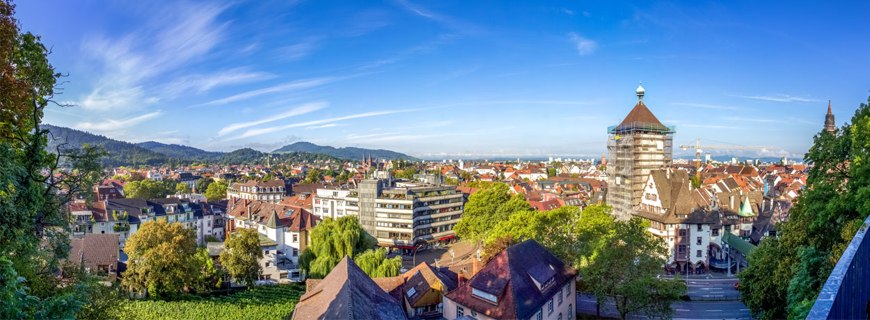 Freiburg, écologie et traditions en forêt noire
