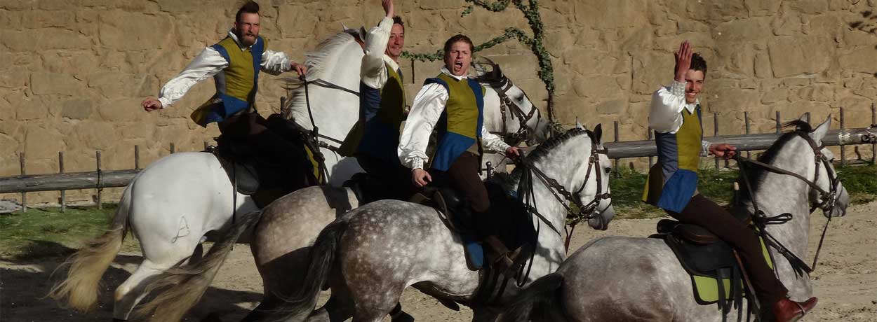 Le Grand Parc du Puy du Fou