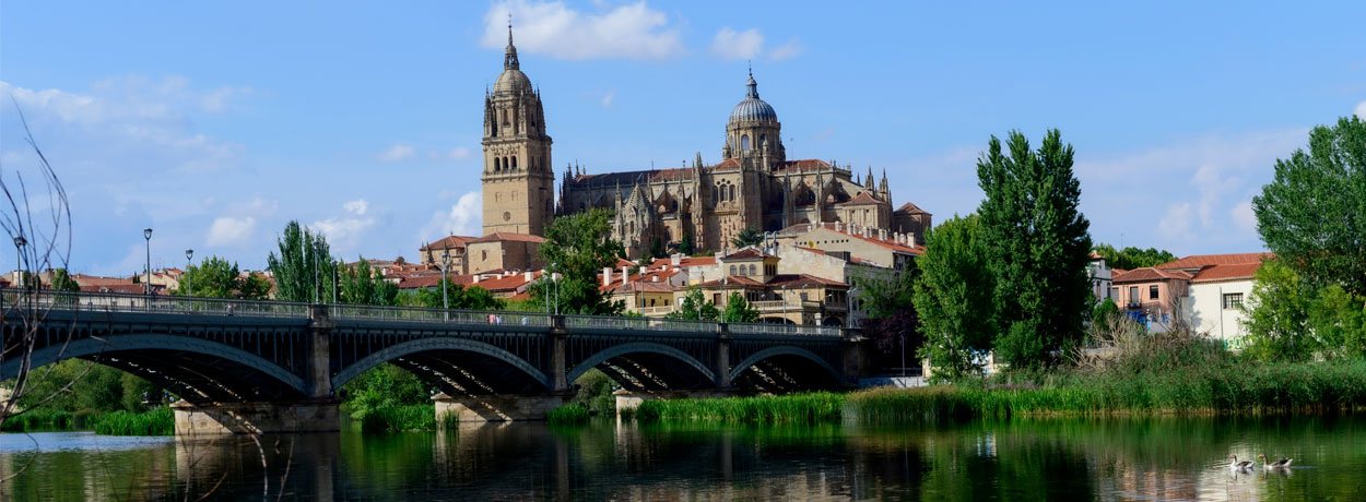 Salamanque, l’Universitaire