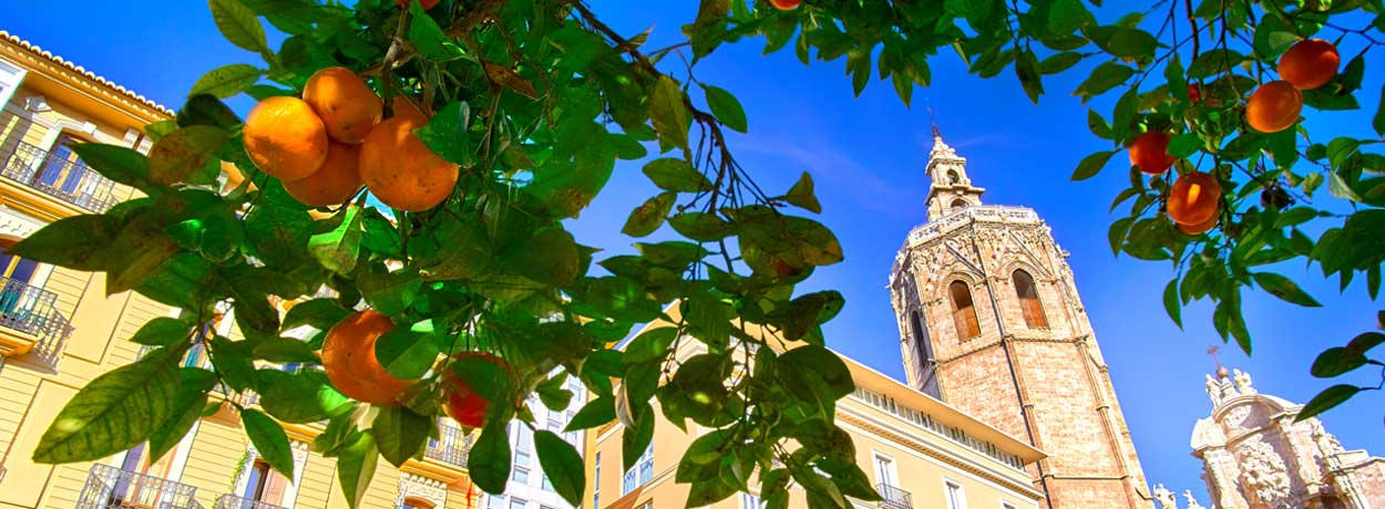 Virée gastronomique à Valence