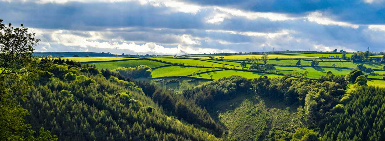 Cornouailles, sur les traces du Roi Arthur d'Angleterre