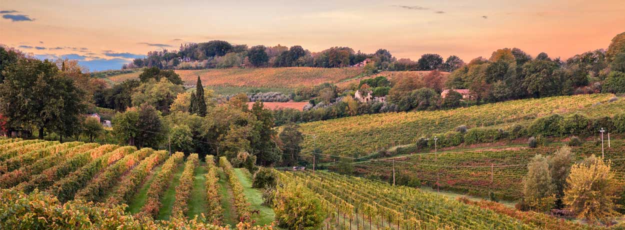 Ravenne, capitale mondiale de la mosaïque