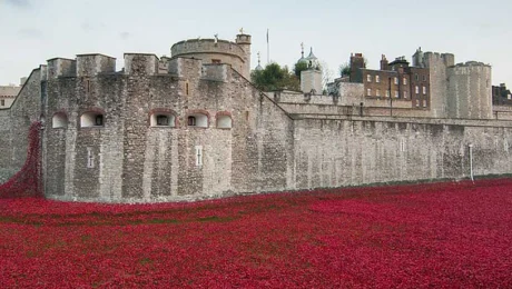 Second World War de Londres à la Normandie