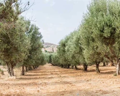 Delta de l’Ebre : nature, écologie et environnement