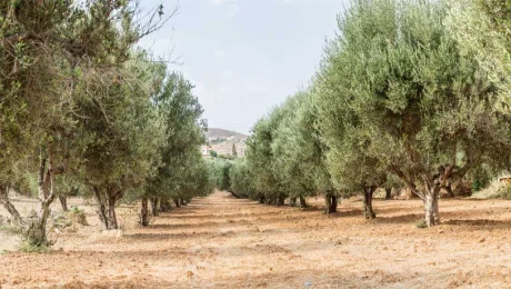 Delta de l’Ebre : nature, écologie et environnement