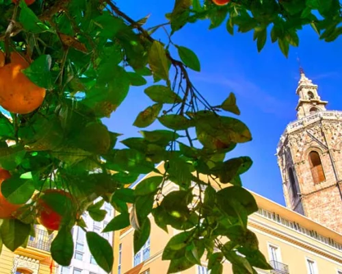 Virée gastronomique à Valence