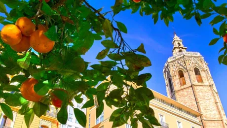 Virée gastronomique à Valence