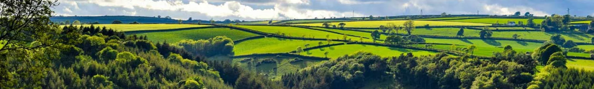 Cornouailles, sur les traces du Roi Arthur d'Angleterre