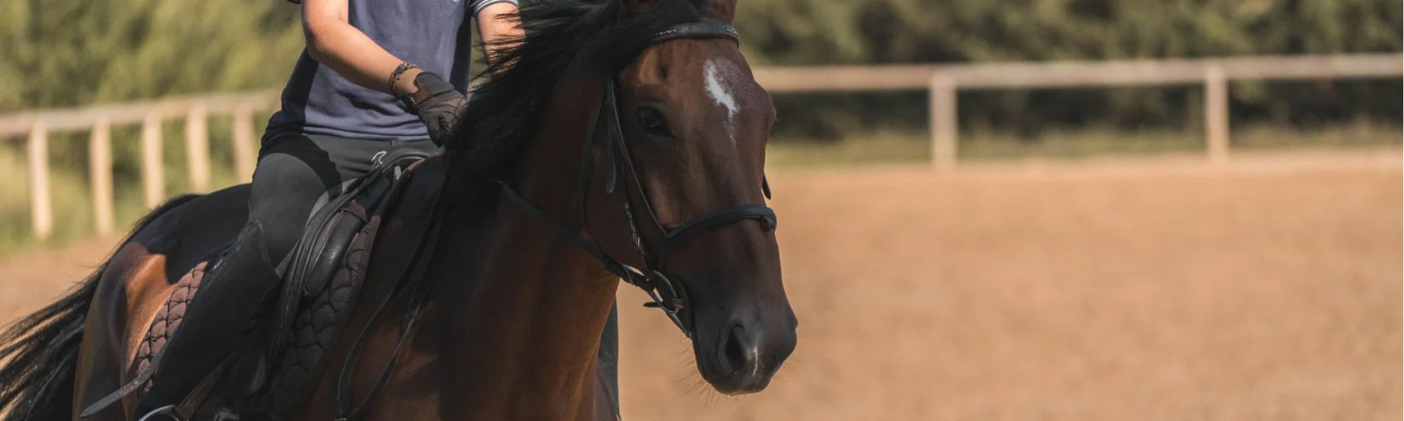 COLONIE DE VACANCES ÉQUITATION - À MÂCON (7-12 ans)